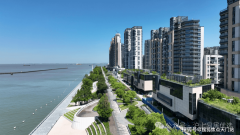 大吴以“三江交汇、上海之门”为标记意向